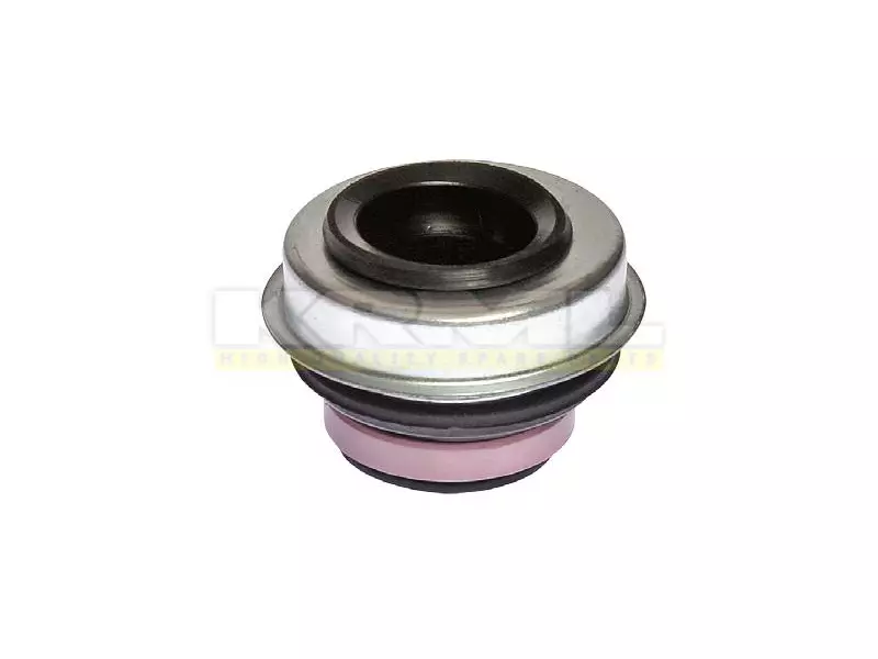 Water Pump Seal