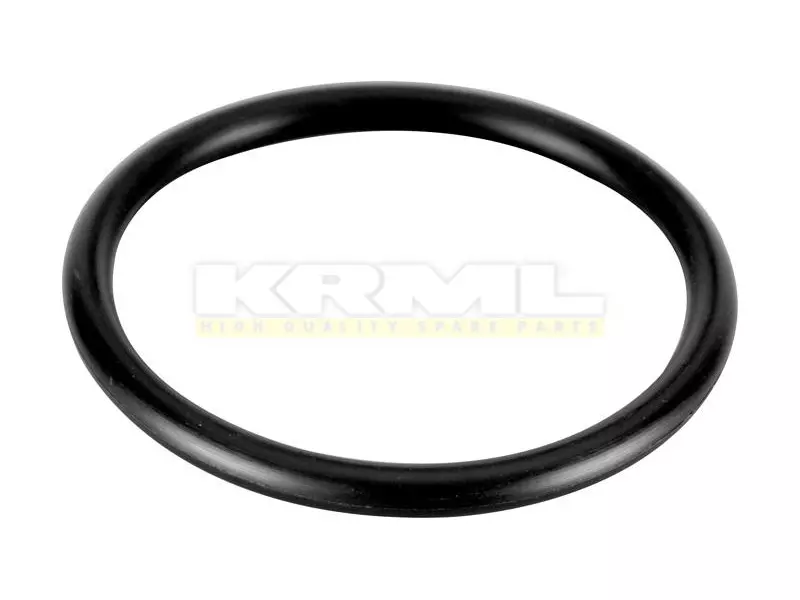 O- Ring