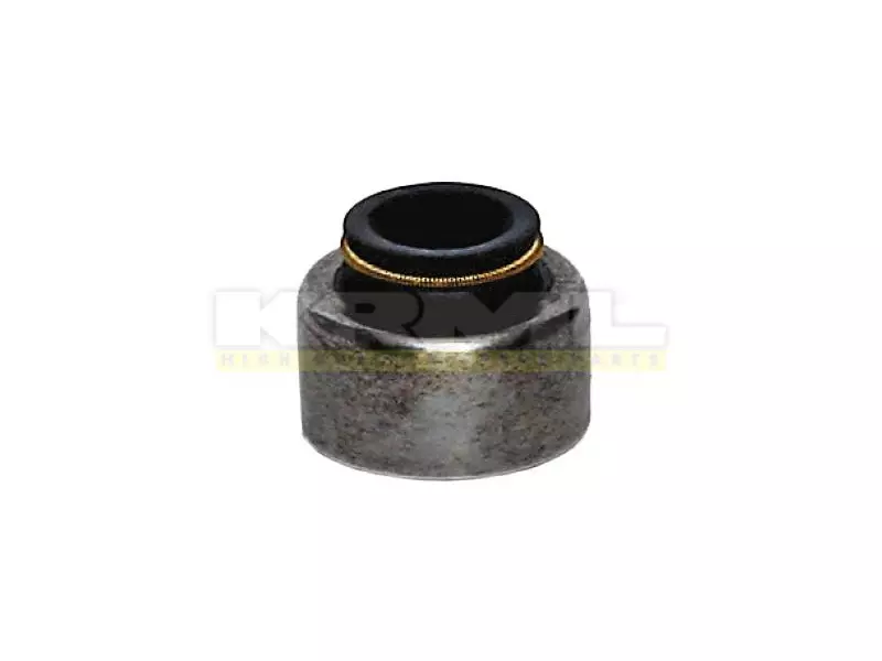 Valve Seal