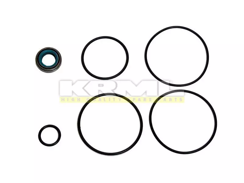 Steering Pump Kit