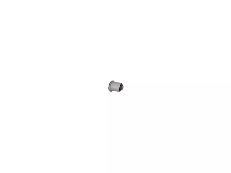 CONTROL ARM BUSHING