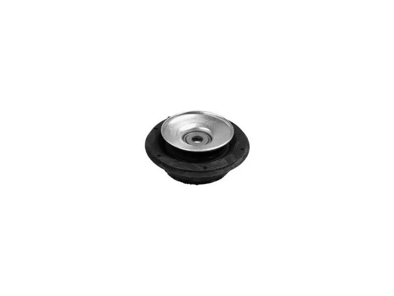 STRUT MOUNTING