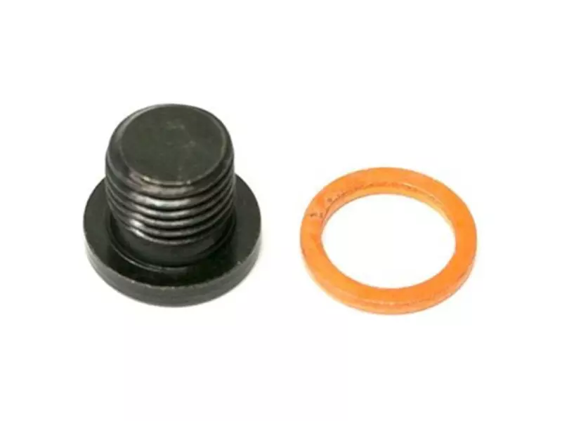 OIL DRAIN PLUG