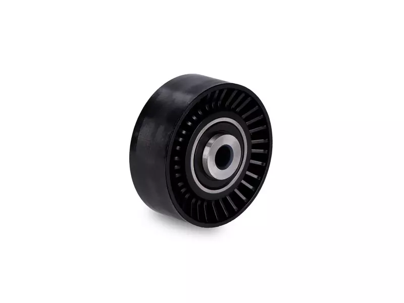 TENSIONER PULLEY 10x70x26x30