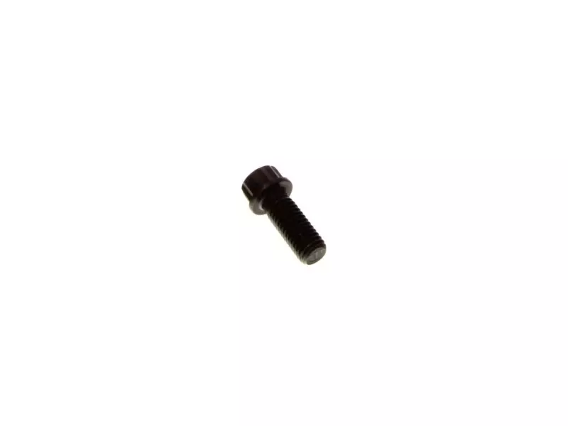 TURBO MOUNTING BOLT