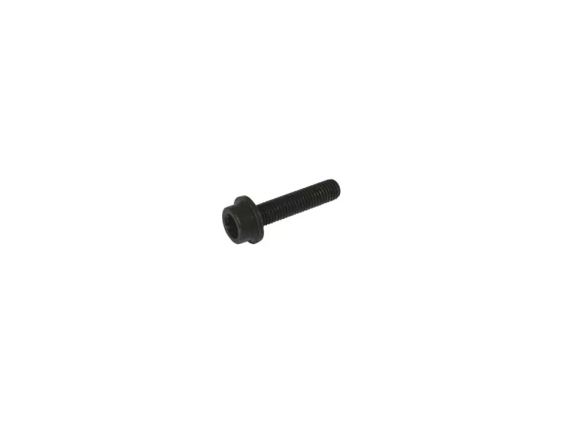 TURBO MOUNTING BOLT