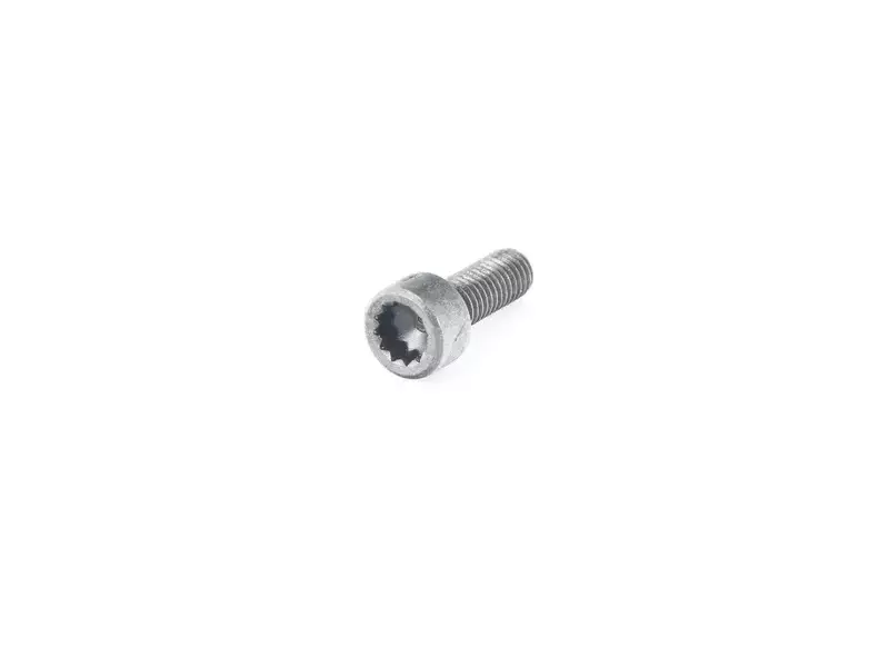 TURBO MOUNTING BOLT