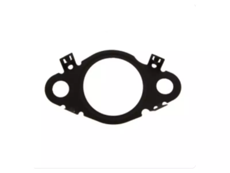 EGR PIPE GASKET