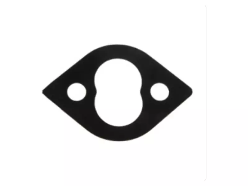 TURBO RETURN GASKET