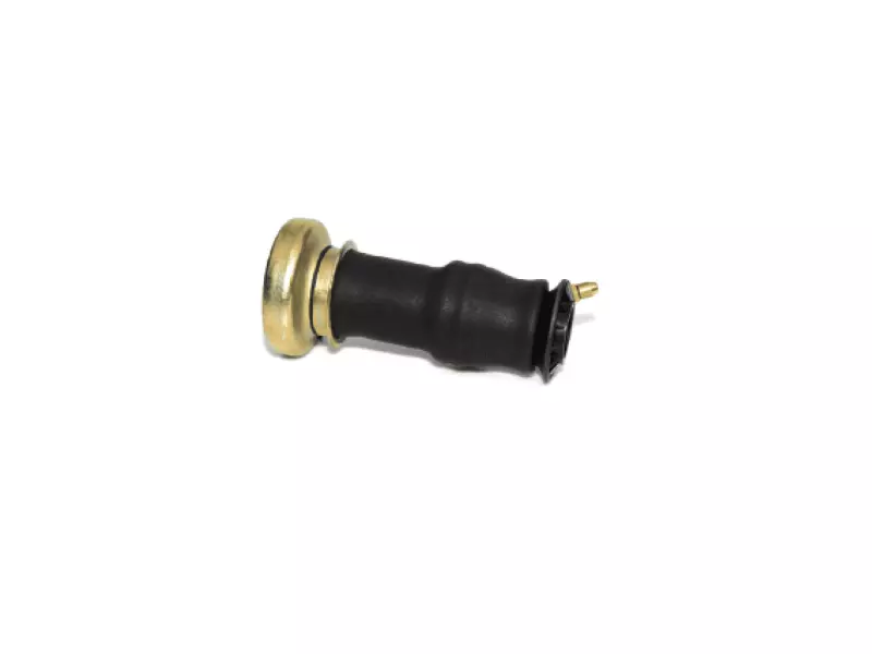 CABIN AIR SPRING