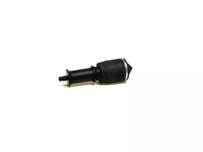 CABIN AIR SPRING