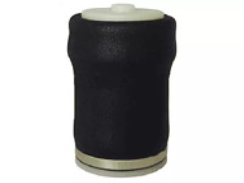 CABIN AIR SPRING