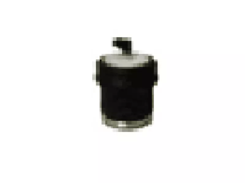 CABIN AIR SPRING