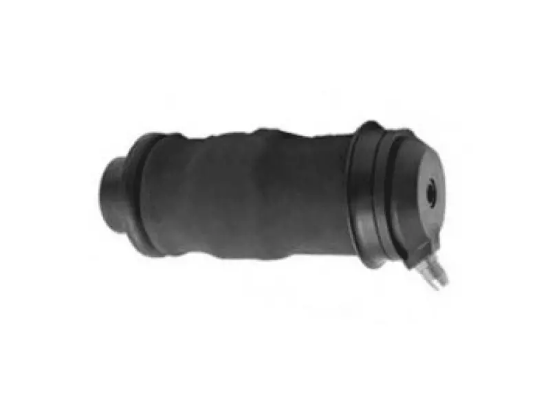 CABIN AIR SPRING